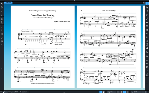 THE ENGRAVER (SMuFL) SET FOR DORICO & FINALE V27+ - Image 23