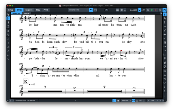 THE ENGRAVER (SMuFL) SET FOR DORICO & FINALE V27+ - Image 14