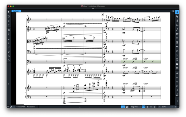 THE ENGRAVER (SMuFL) SET FOR DORICO & FINALE V27+ - Image 12