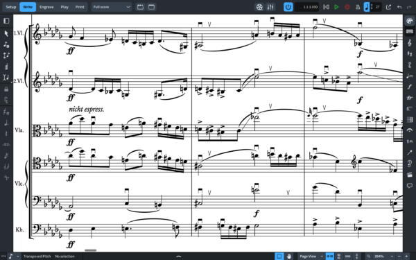 THE ENGRAVER (SMuFL) SET FOR DORICO & FINALE V27+ - Image 2