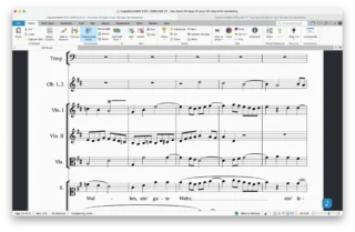 CapoScore Fonts for Sibelius – music font preview