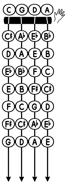 CleanShot 2026-06-08 at 1151062x ‣ NorFonts Chromatic five-string fretboard with open strings C G D A; frets show sharps/flats (C#, Ab, Eb, Bb, etc.); hand icon and downward arrows indicate plucking.
