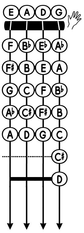 CleanShot 2026-06-08 at 1151322x ‣ NorFonts Educational diagram showing a grid of note names in circles connected by vertical lines, with a hand icon on the right and downward arrows at the bottom, illustrating note positions and play direction.