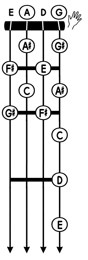CleanShot 2026-06-08 at 1152222x ‣ NorFonts Vertical string instrument fretboard diagram with six strings and frets, notes labeled in circles along the strings (E, A, D, G at the top), a hand icon indicating strumming, and arrows at the bottom of the strings.